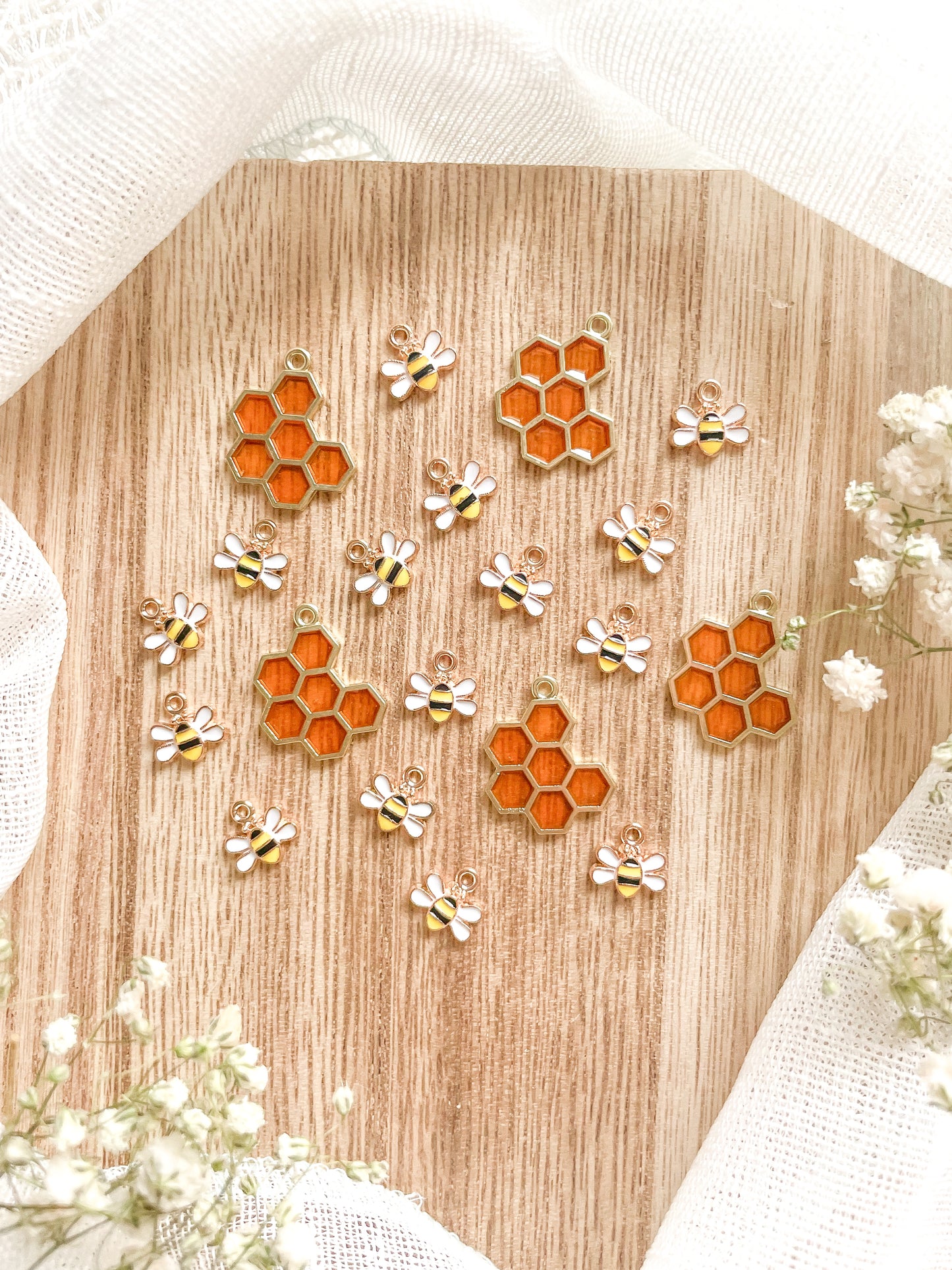 π©ππ & π―ππππππππ πͺπππππ