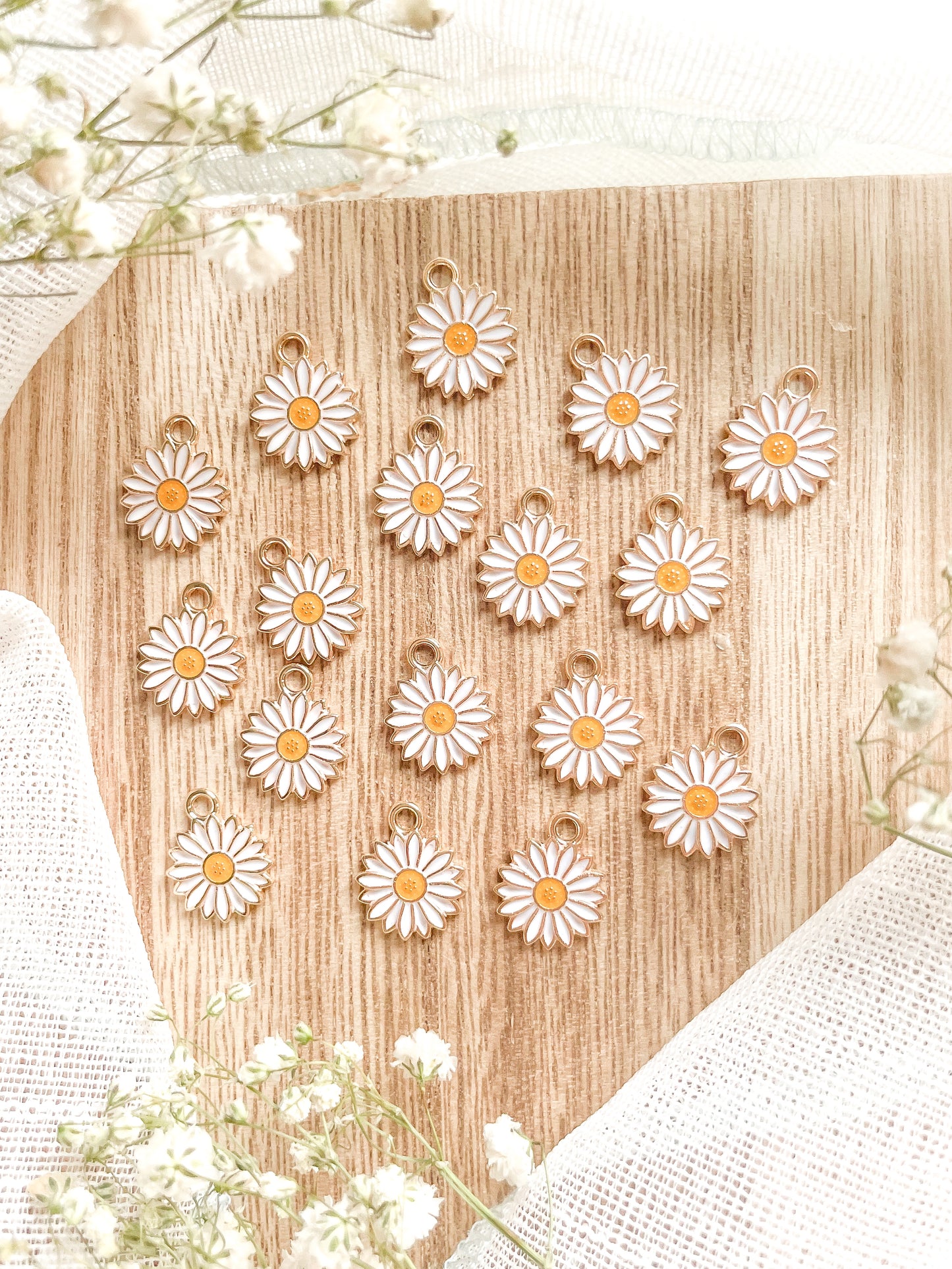 𝑫𝒂𝒊𝒔𝒚 𝑪𝒉𝒂𝒓𝒎𝒔