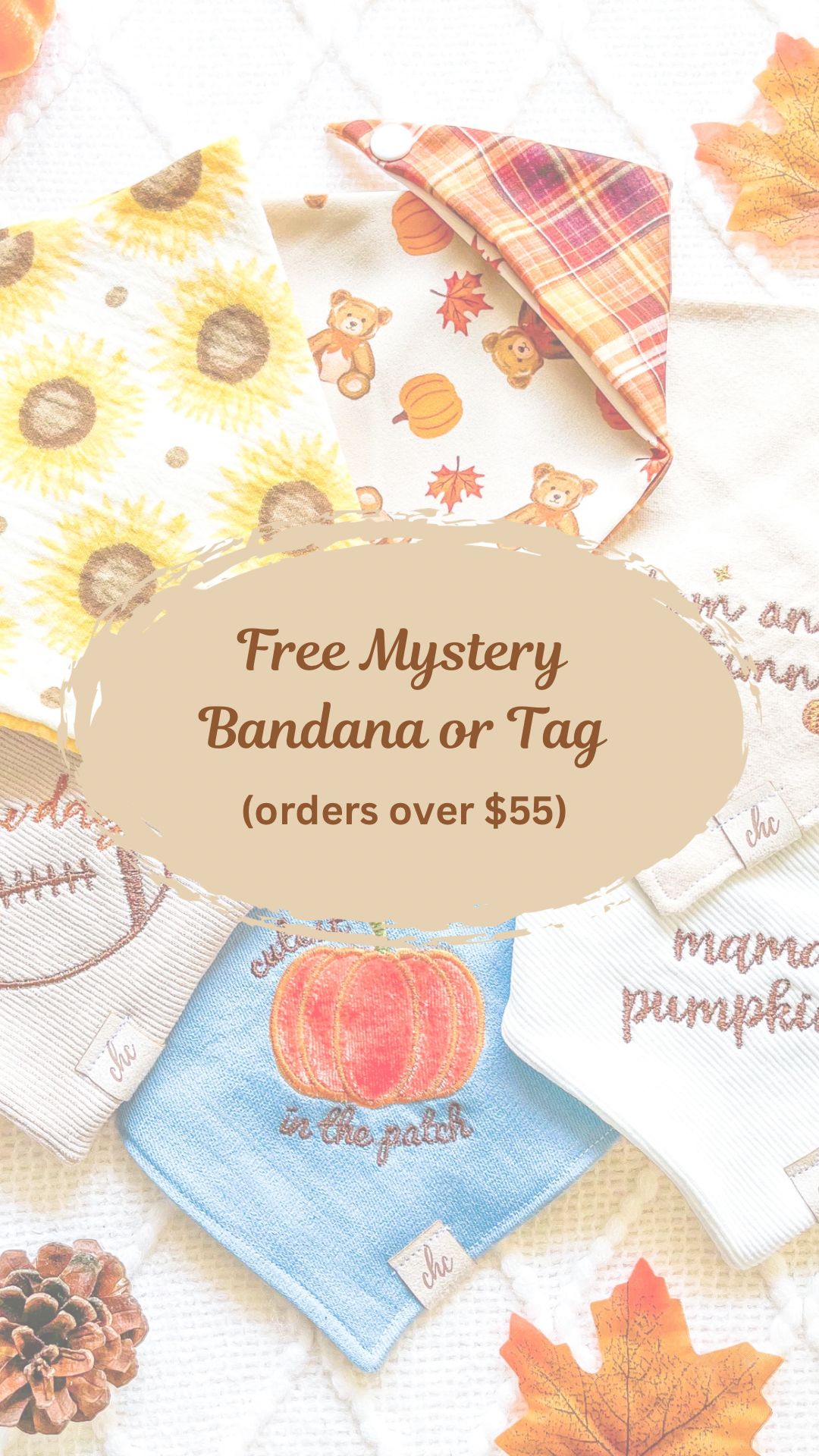 šššš š“šššššš š©ššš
ššš/š»šš