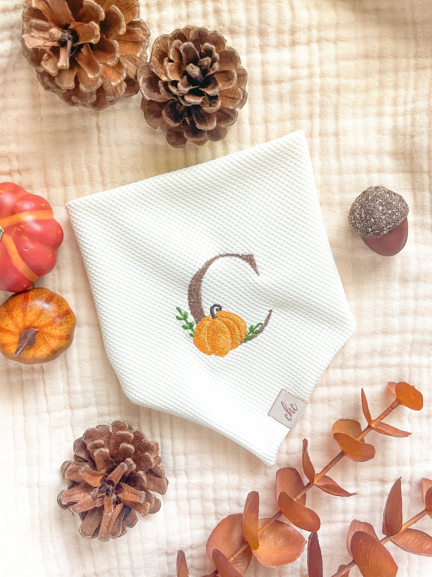 ‘Pumpkin Letter’ Bandana