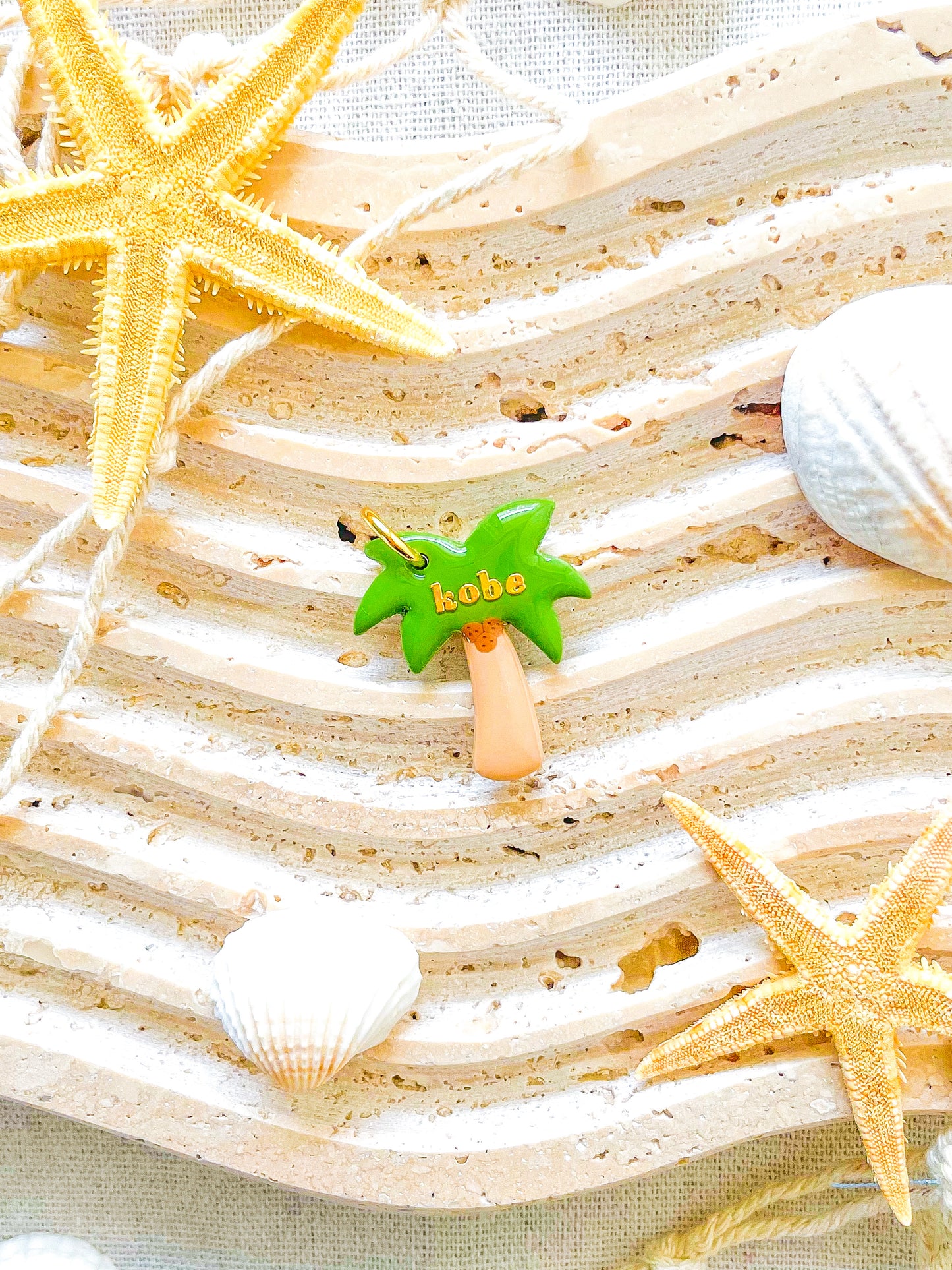 ’𝑷𝒂𝒍𝒎 𝑻𝒓𝒆𝒆’ 𝑻𝒂𝒈 🌴