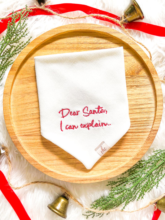 ’𝑫𝒆𝒂𝒓 𝑺𝒂𝒏𝒕𝒂, 𝑰 𝒄𝒂𝒏 𝒆𝒙𝒑𝒍𝒂𝒊𝒏’ 𝑩𝒂𝒏𝒅𝒂𝒏𝒂