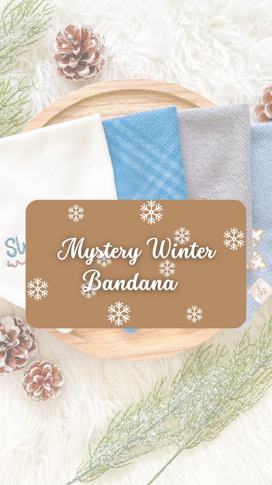 𝑴𝒚𝒔𝒕𝒆𝒓𝒚 𝑾𝒊𝒏𝒕𝒆𝒓 𝑩𝒂𝒏𝒅𝒂𝒏𝒂