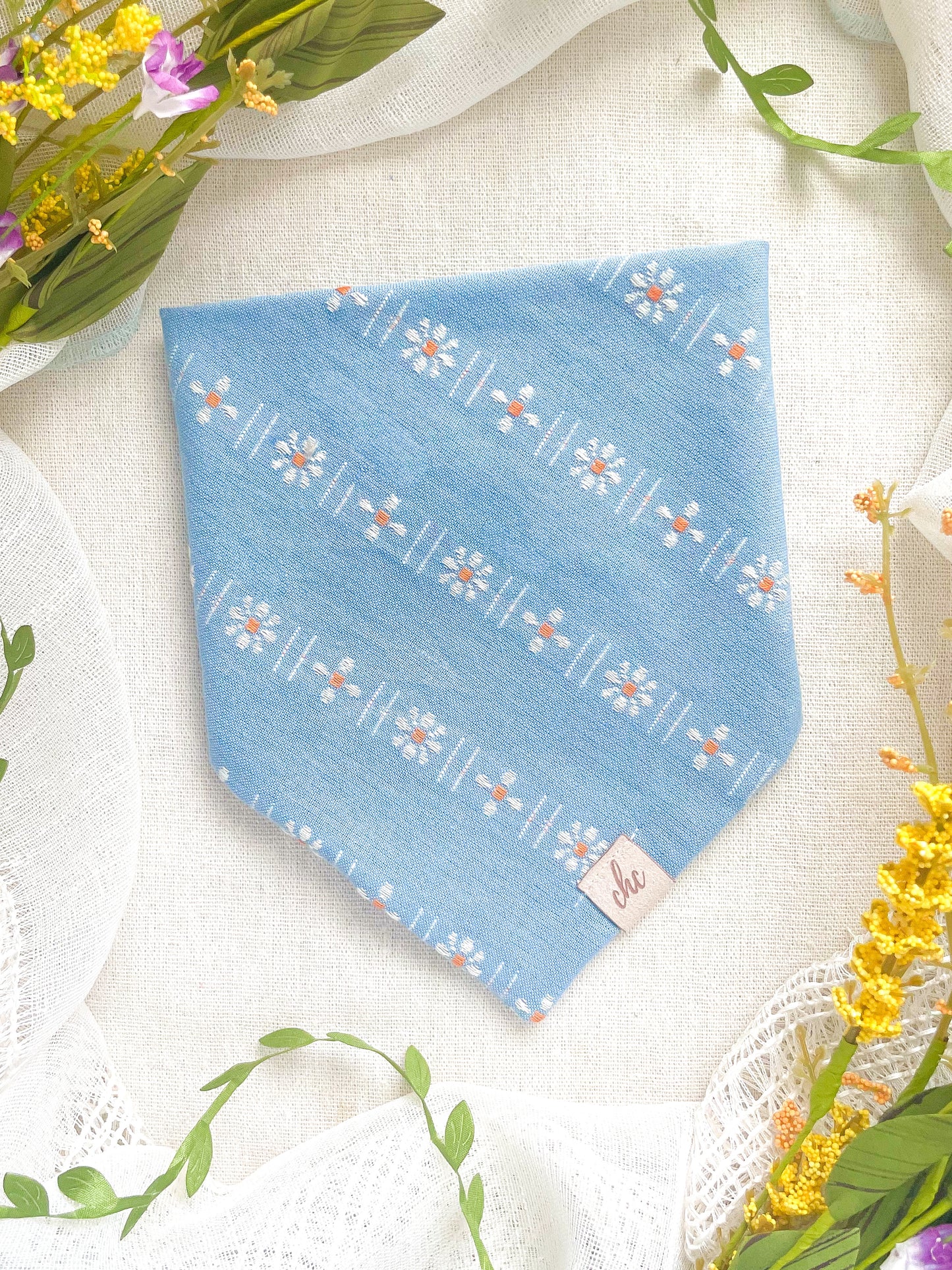 ‘𝑫𝒂𝒊𝒔𝒚 𝑩𝒓𝒆𝒆𝒛𝒆’ 𝑩𝒂𝒏𝒅𝒂𝒏𝒂