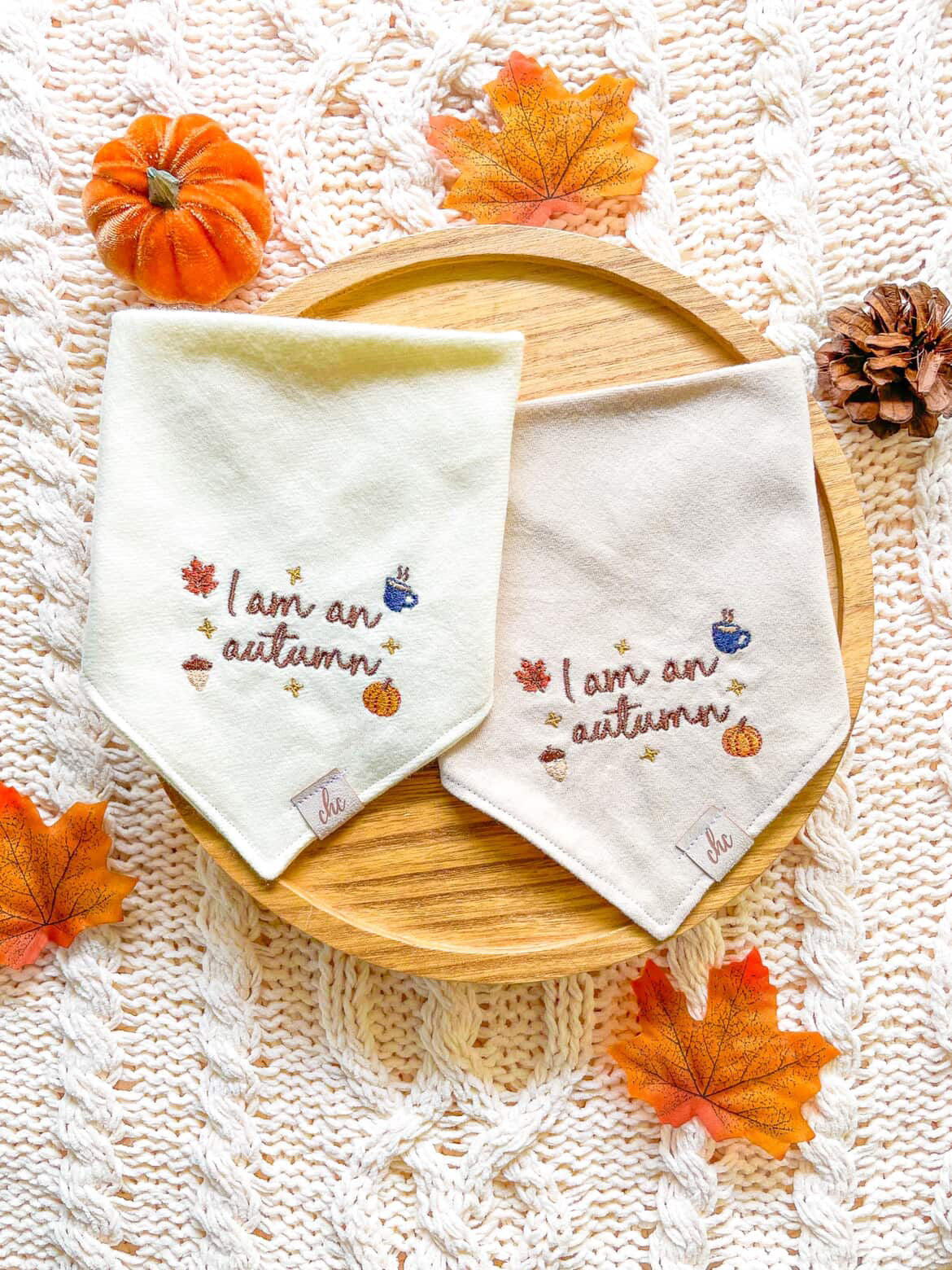 ‘𝑰 𝒂𝒎 𝒂𝒏 𝑨𝒖𝒕𝒖𝒎𝒏’ 𝑩𝒂𝒏𝒅𝒂𝒏𝒂